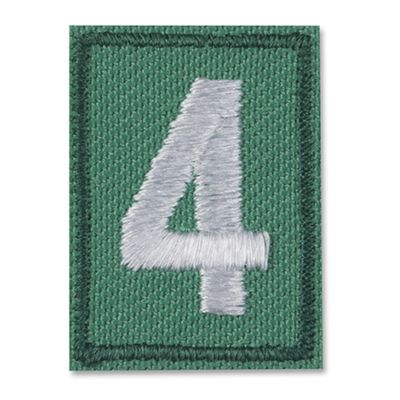 Multilevel Girl Scout Troop Numeral