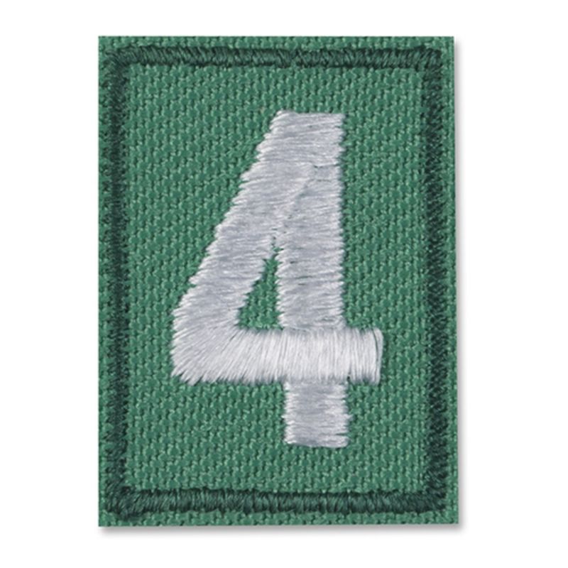 Multilevel Girl Scout Troop Numeral