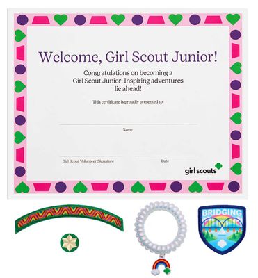 New Bridge to Junior Kit