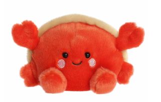 Tide Hermit Crab
