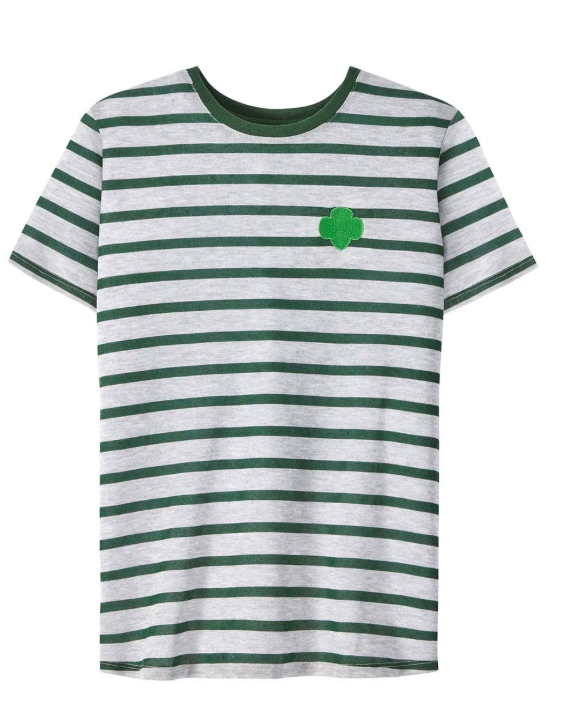 Airy Striped T-Shirt- Green, Size: AXS
