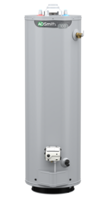 A.O. Smith Natural Gas 50-Gallon 6-year Signature 100 Tank Water Heater