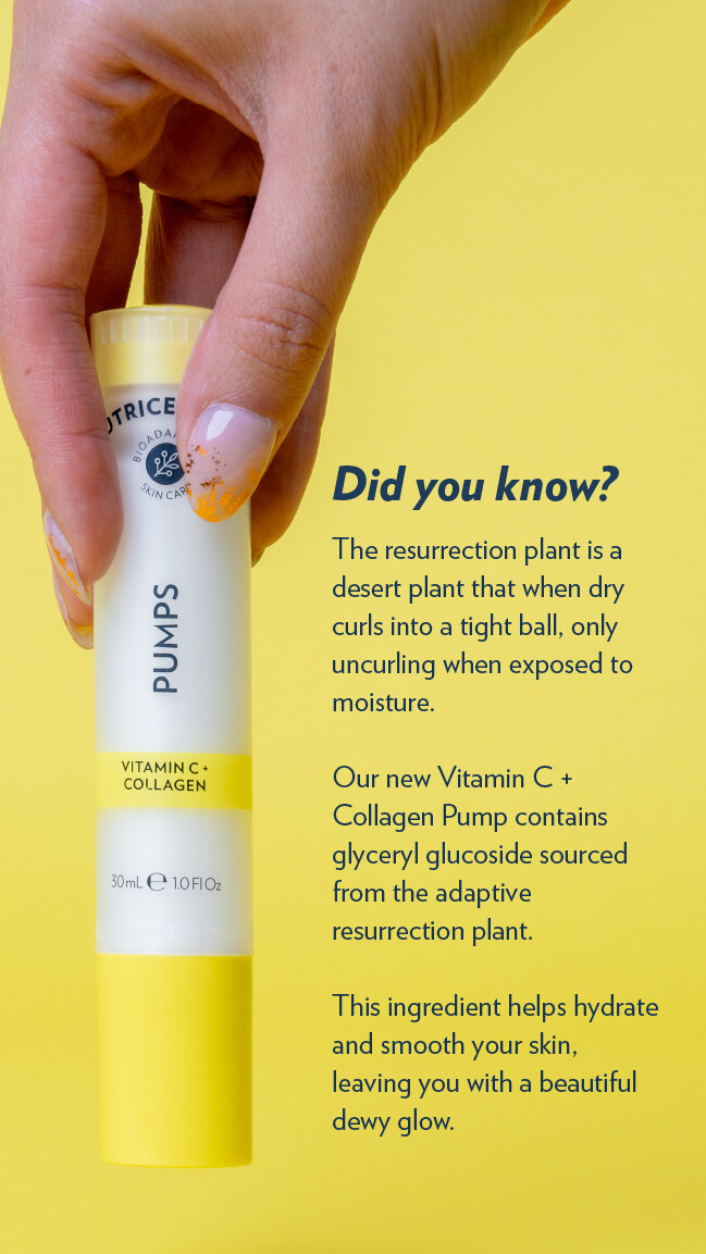 Collagen &amp; Vitamin C Glow Pump