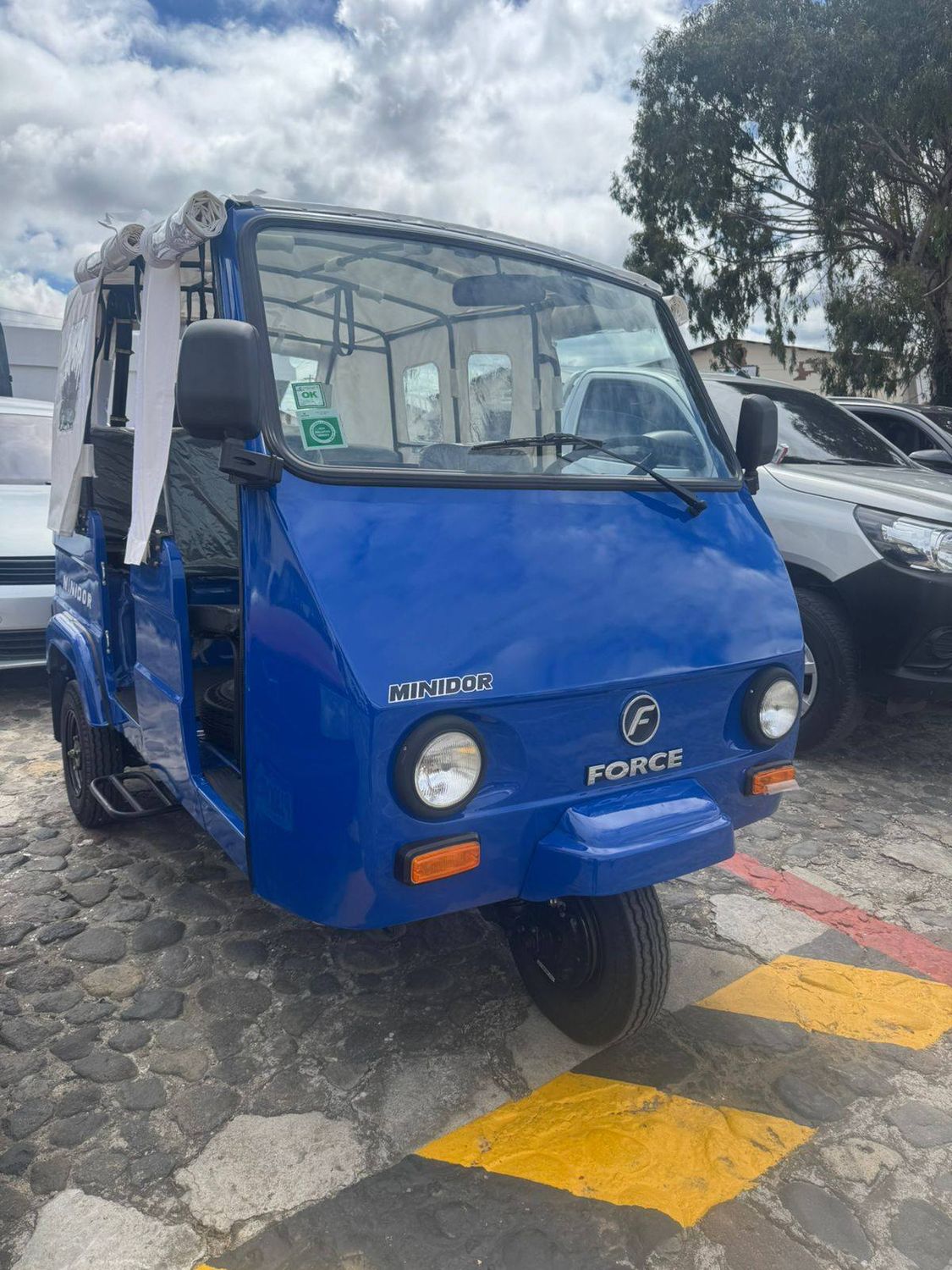 MOTO TUK TUK MARCA FORCE, LINEA MINIDOOR MOTOR DIESEL, SUPER ECONÓMICO