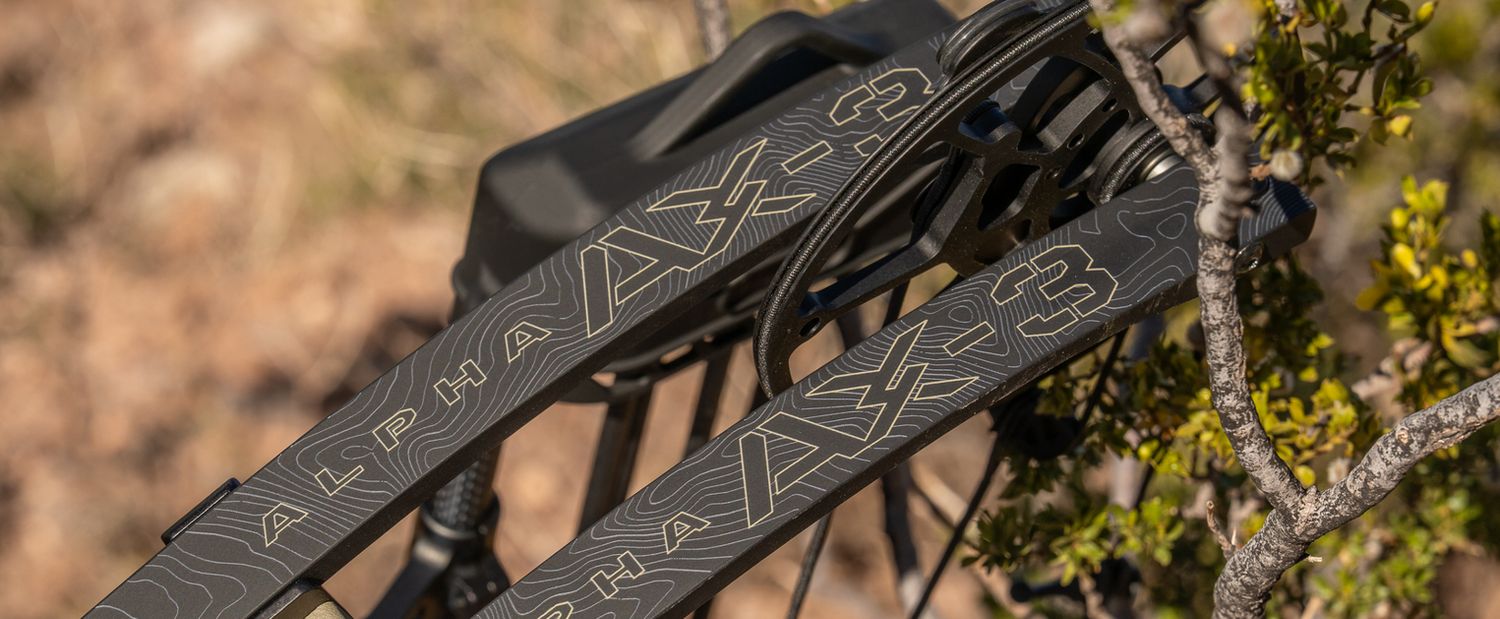 Hoyt Alpha X AX-33 Compound Hunting Bow