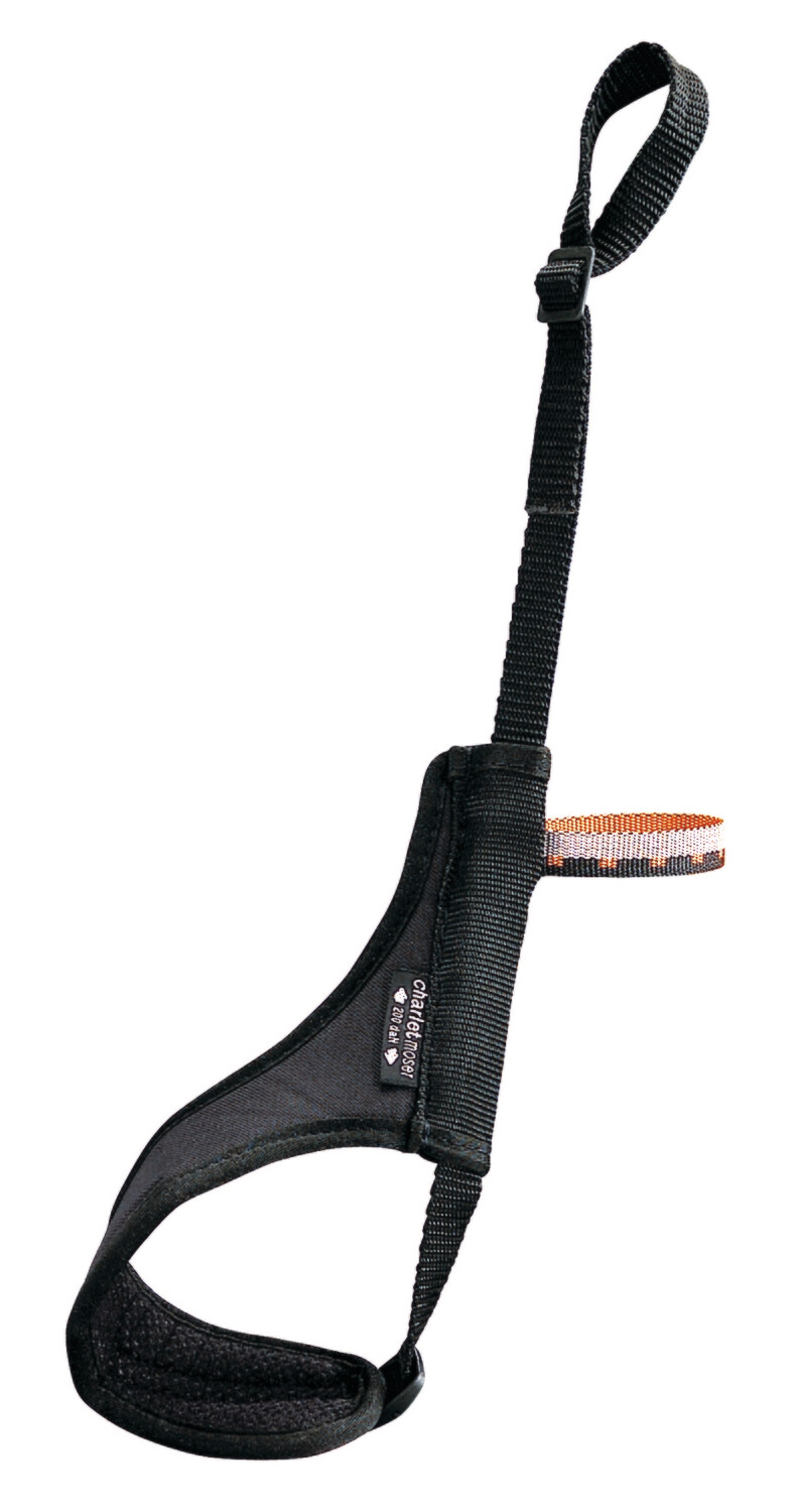 FREELOCK PETZL