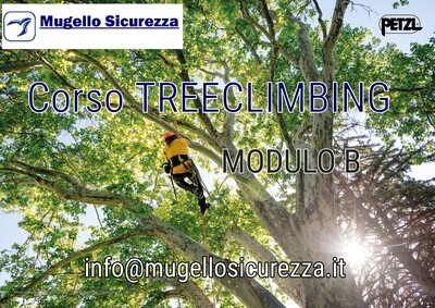 CORSO TREECLIMBING _Modulo 