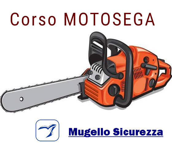 CORSO DI MOTOSEGA 04-05 Luglio 2024