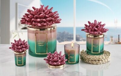 Melaverde - Candela Bicolore Anemone Fucsia