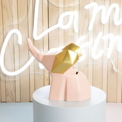 Claraluna - Salvadanaio elefante rosa 24965