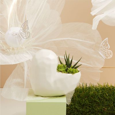 Claraluna - Vaso forma cuore bianco con piantina e muschio 25145