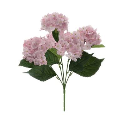 Hervit - Cespuglio 6 ortensie in vari colori