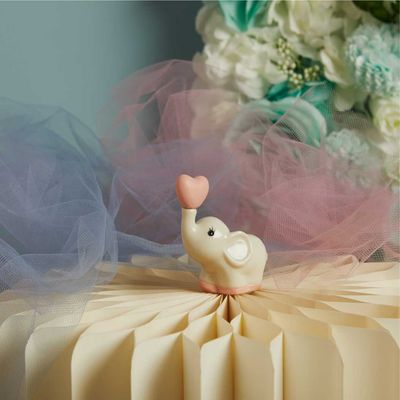 Elefantino rosa o blu