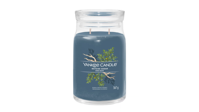 Yankee Candle - Candela Grande "Bayside Cedar"