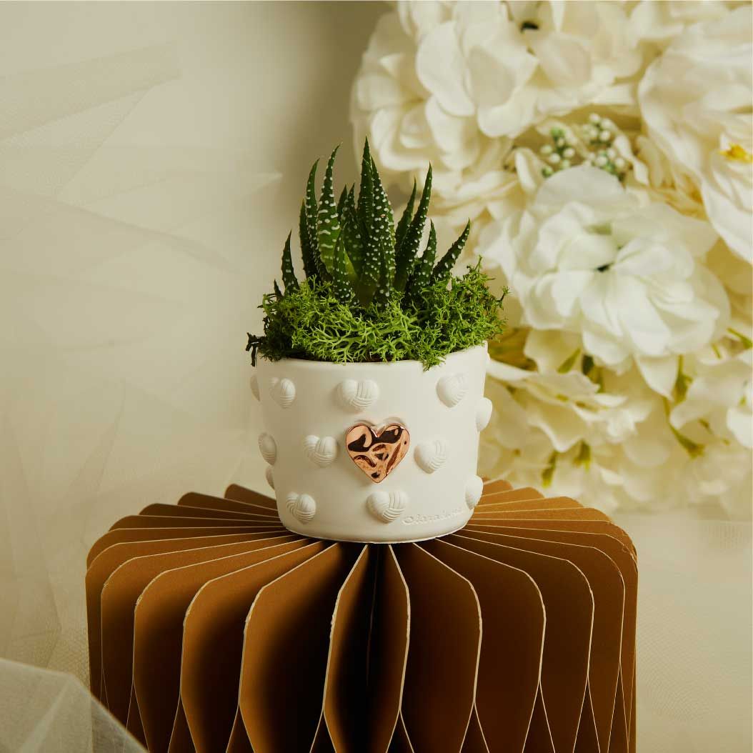 VASETTO CUORICINI CON APPLICAZIONE E PIANTINA CON MUSCHIO