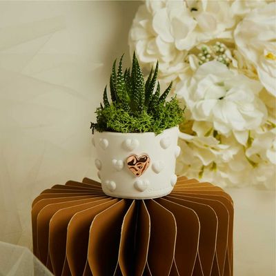 VASETTO CUORICINI CON APPLICAZIONE E PIANTINA CON MUSCHIO