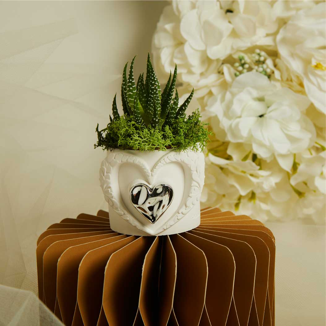 VASETTO CUORE CON APPLICAZIONE E PIANTINA CON MUSCHIO