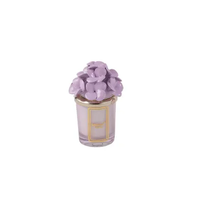 Candela Ortensia Lilla