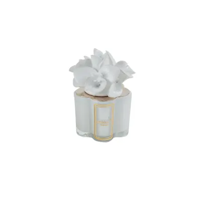 Candela Orchidea Bianca