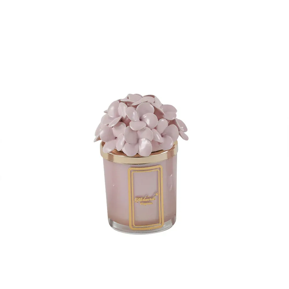 Candela Ortensia Cipria