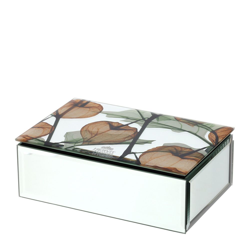 Cofanetto portagioie in legno con top in vetro base specchi Alkekengi Ambra