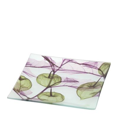 PIATTO VETRO ALKEKENGI VERDE 20X20CM