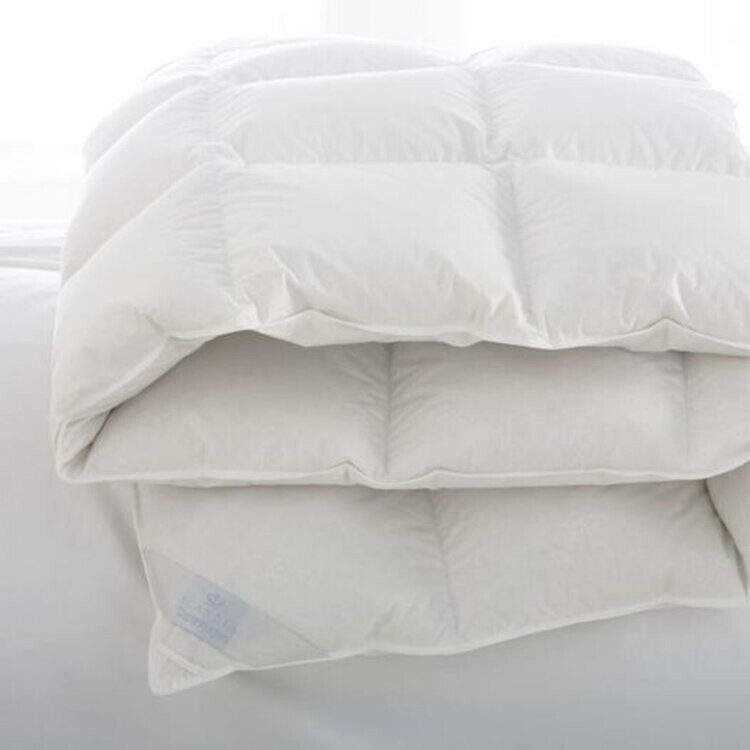 Copenhagen European White Down Comforter