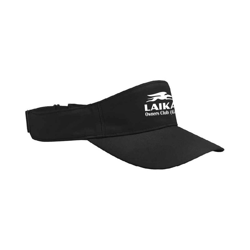 Laika Performance Visor