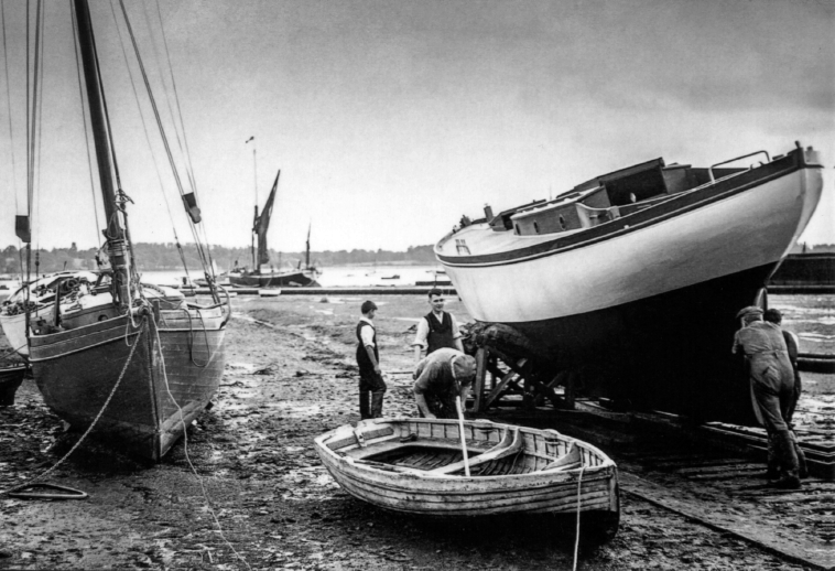 Selina King Greetings Card Selina King Greetings Card