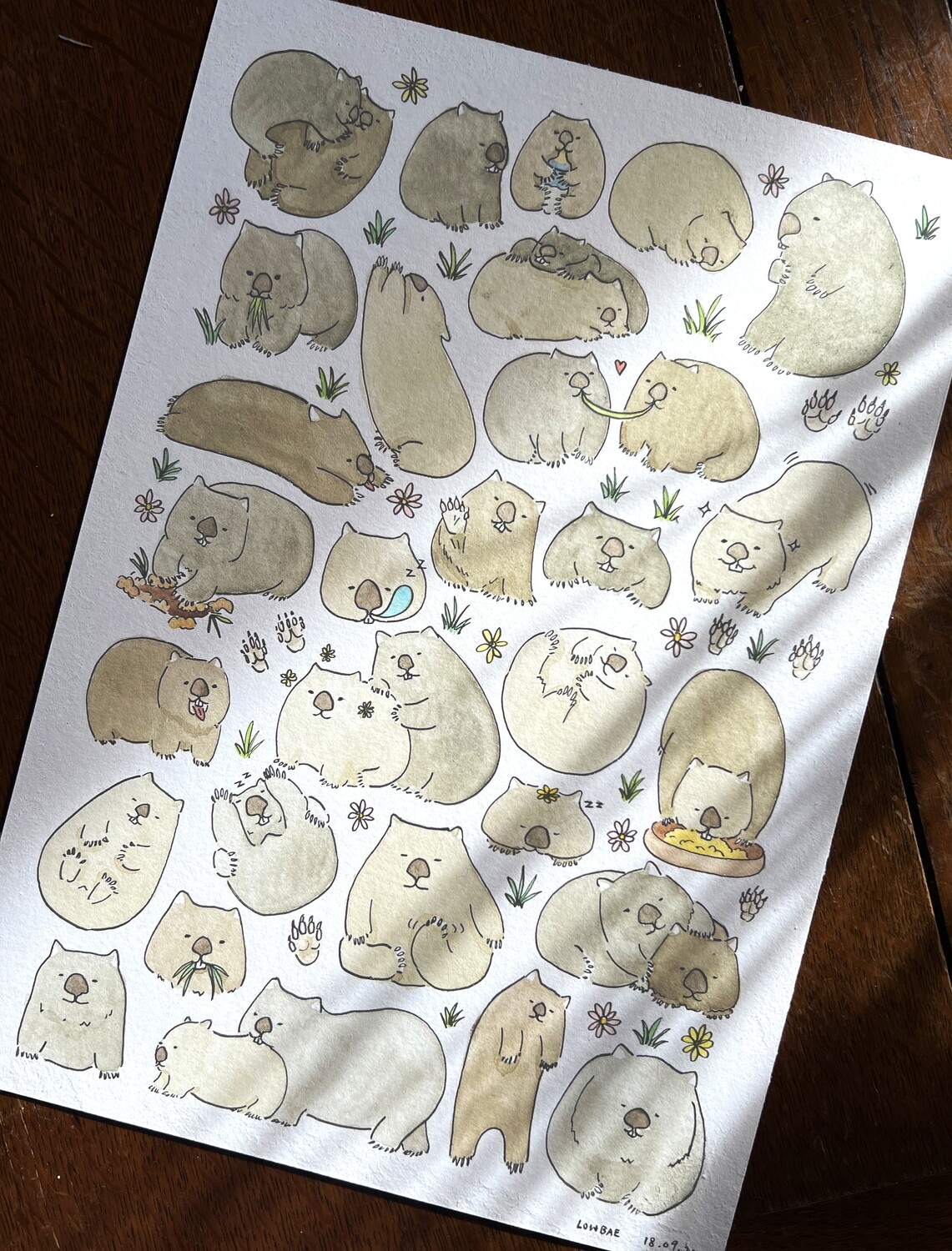 Wombat sticker sheet