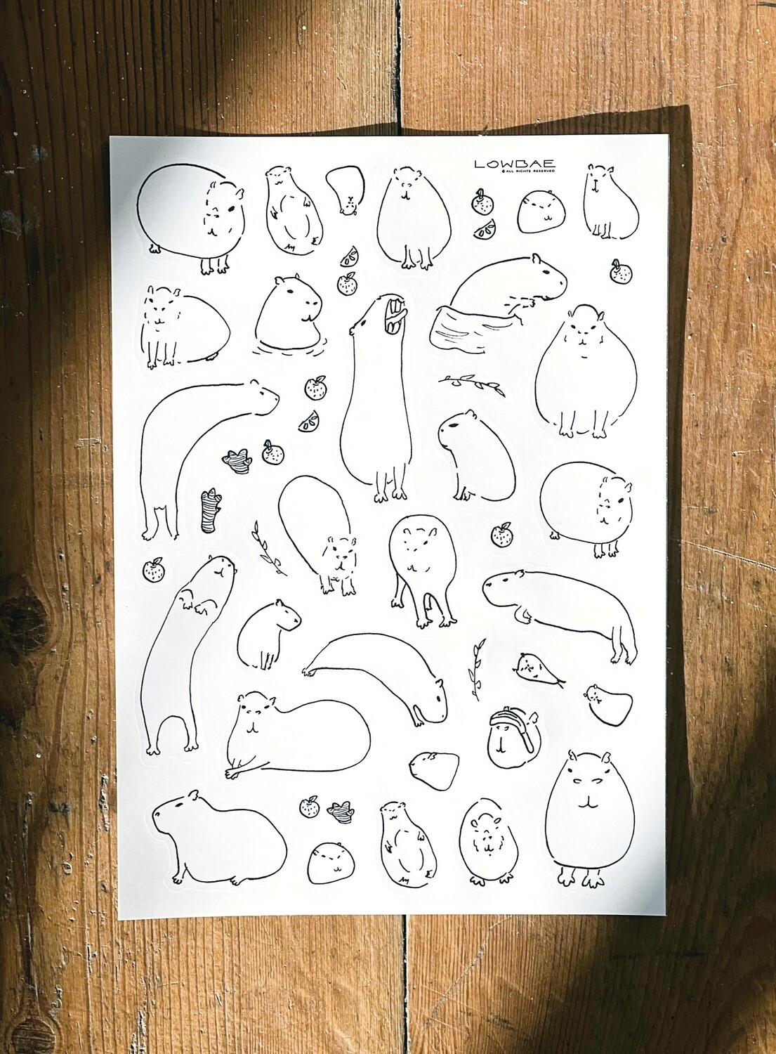 Capybara sticker sheet