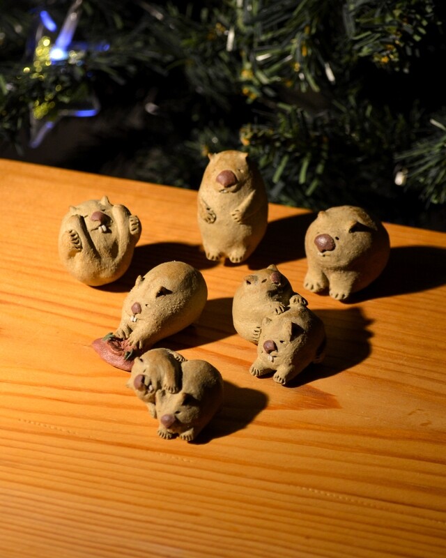 Wombat miniature x1 (Chonker/oh lord he comin&#39;)