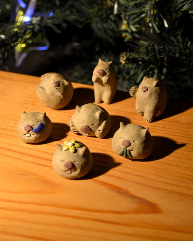 Wombat miniature x1 (widdle guy/fine boi)