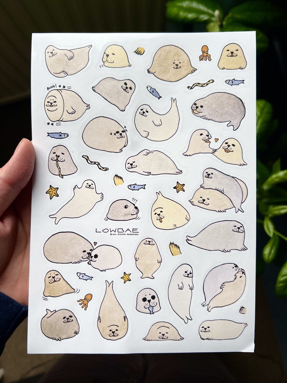 Norfolk seal sticker sheet