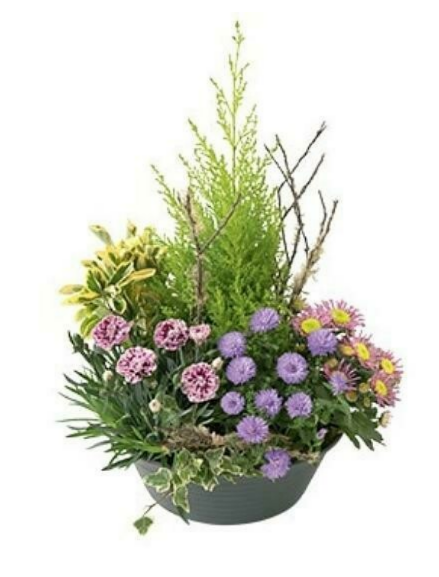 Coupe de plantes deuil
