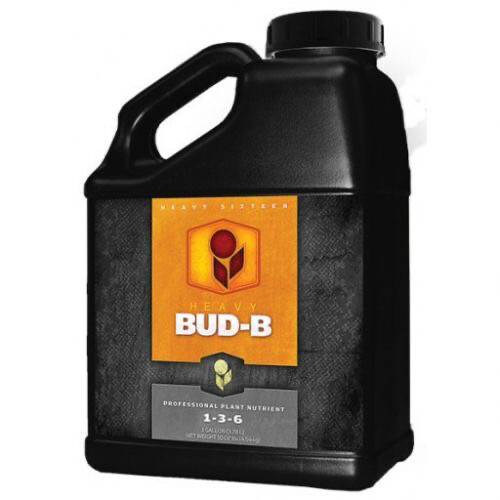 Heavy 16 Bud B Gallon