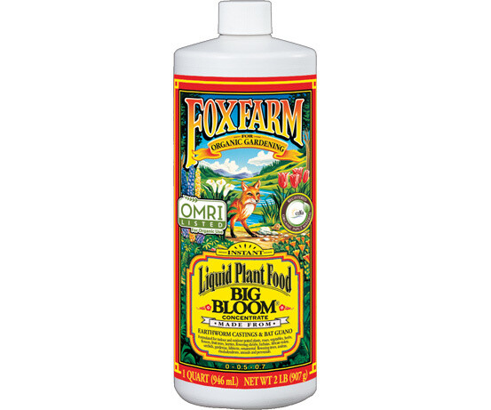 FoxFarm Big Bloom Qrt