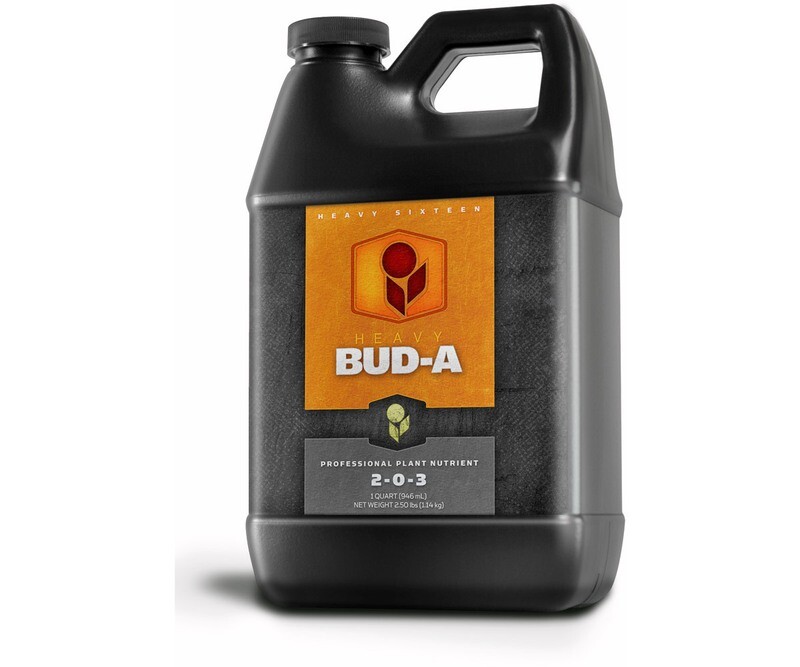 Heavy 16 Bud A 32oz
