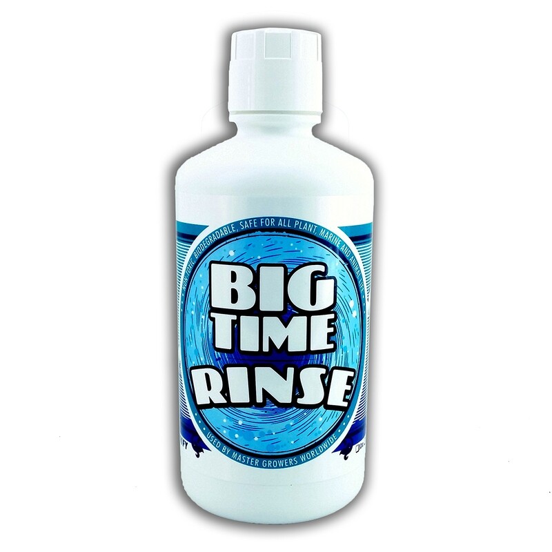 Big Time Rinse 1qt