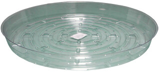 Clear Saucer, 12&quot;