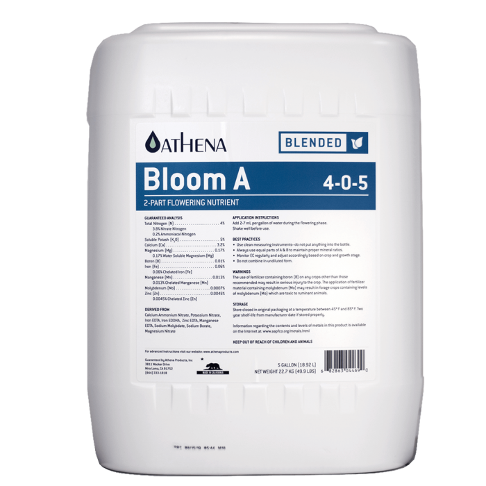 Athena Bloom A 5 Gal