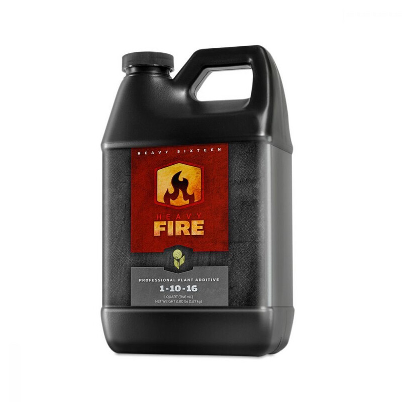 Heavy 16 Fire 32oz