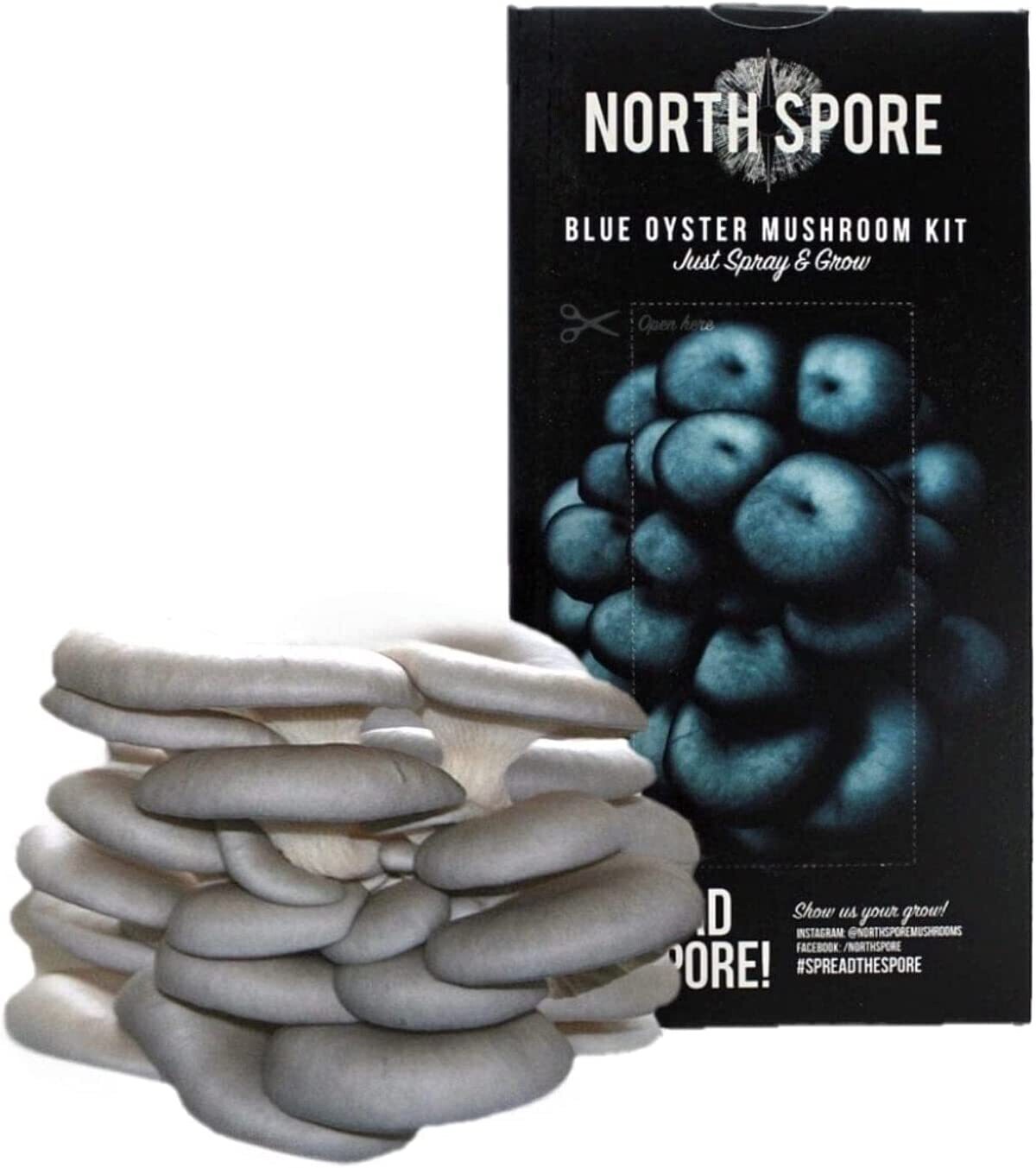 North Spore Blue Oyster ‘Spray & Grow’ Mushroom Growing Kit