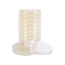 North Spore Pre-Poured Sterile Agar Plates for Mushroom Cultures (10 COUNT)
