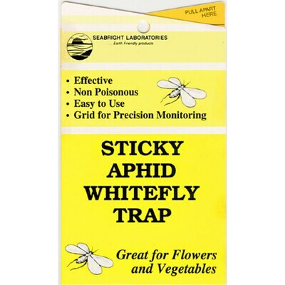 Whitefly/Aphid Trap (Yellow)