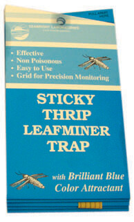 Thrips/Leafminer Trap (Blue)