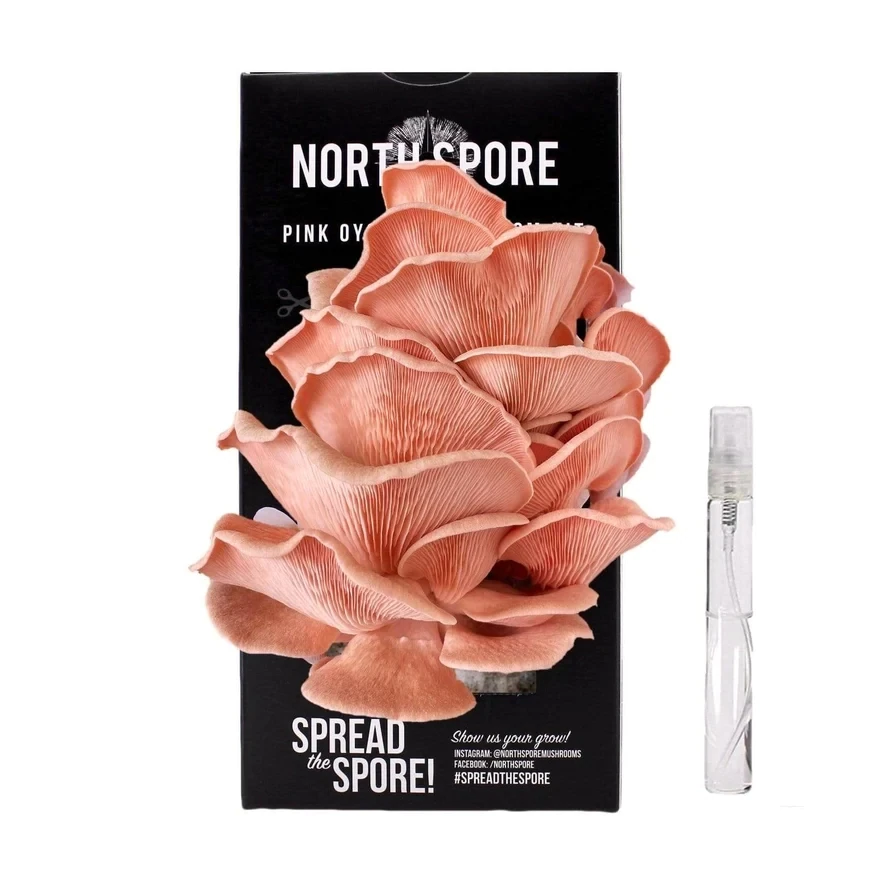 North Spore "Pink Oyster" Spray & Grow Mushroom Kit