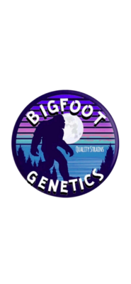 Bigfoot Genetics