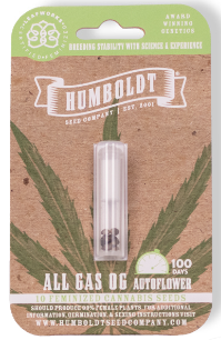 HSC All Gas OG Autoflower (F) 10 Pack