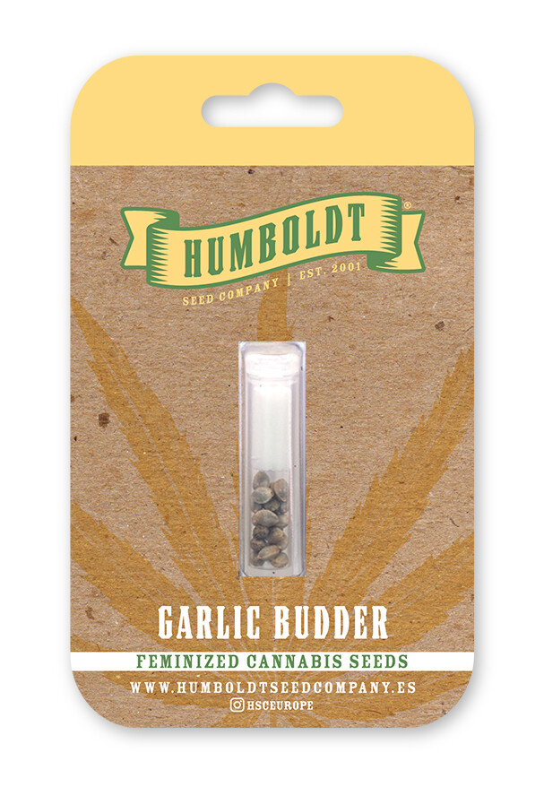 HSC Garlic Budder (F) 10 Pack